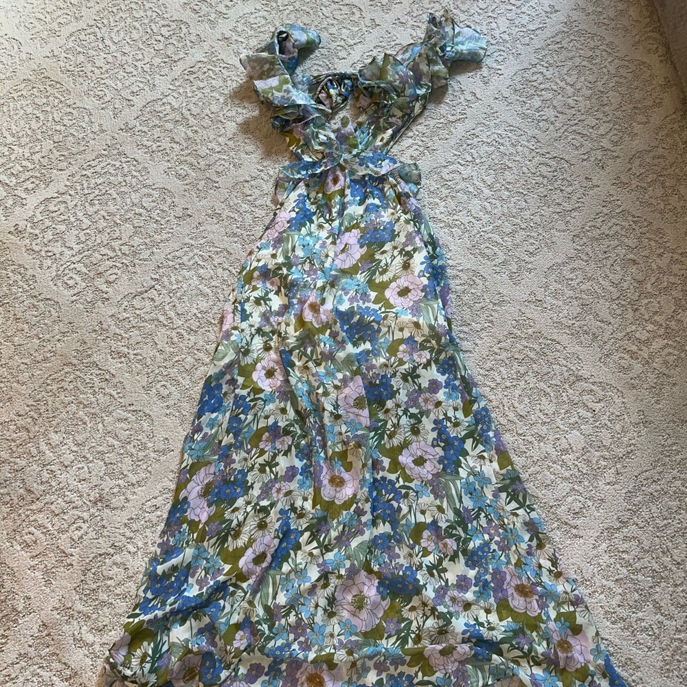 Vici dress worn once